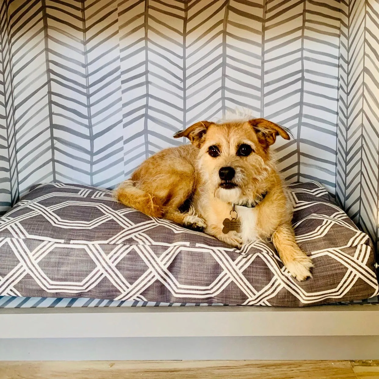 Modern Luxe Dog Beds with Personalization