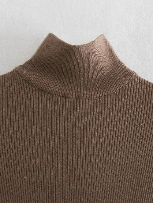 Women's Sweater Style High-Neck Dress